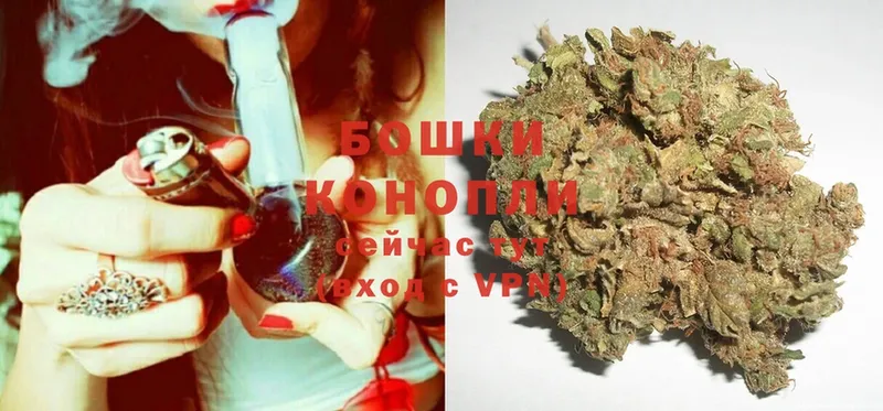 Бошки марихуана THC 21%  MEGA как зайти  Звенигово 